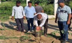 चेयरमैन वृक्षारोपण 2