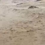 सहारनपुर में दिखा बारिश का भयावह मंजर